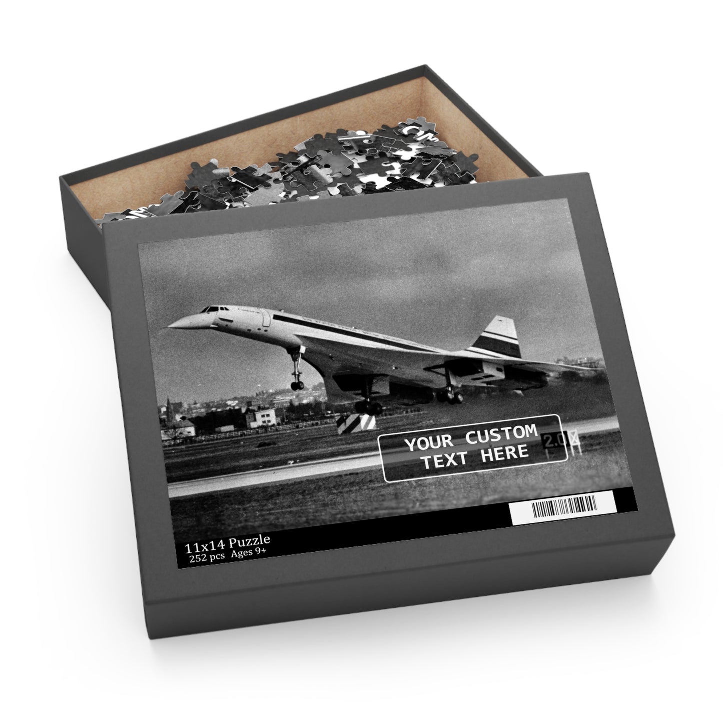 Concorde Puzzle