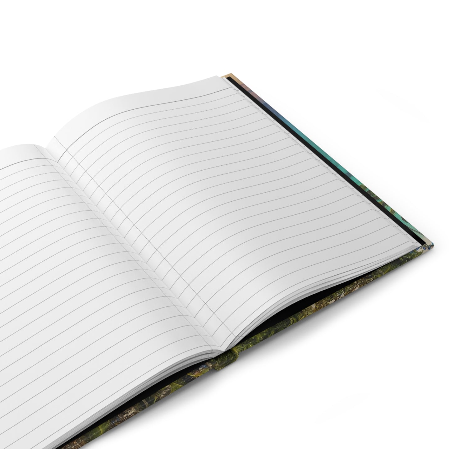 Places Journal